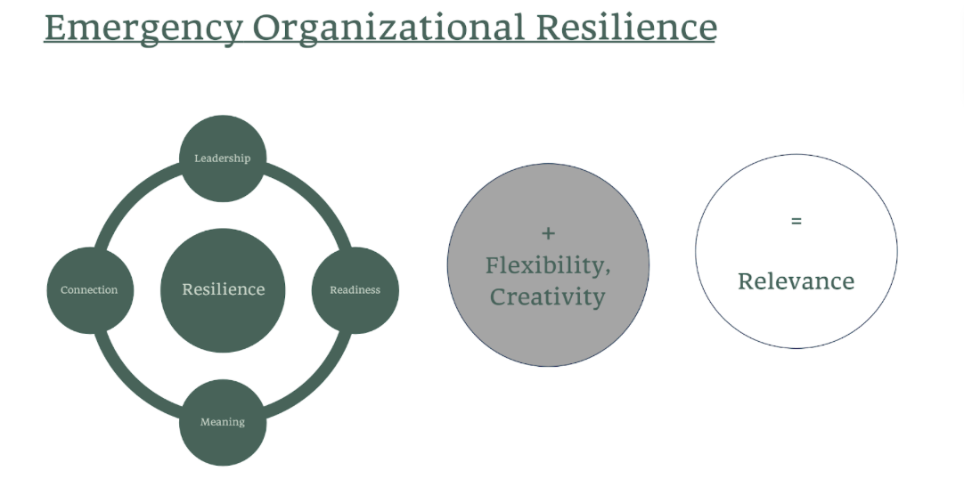 Emergency Organizational Resilience